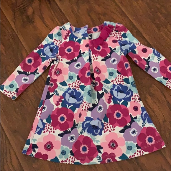Gymboree Other - 12-18mo Gymboree floral dress.